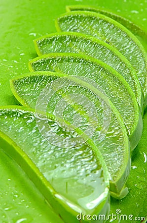 Aloe Vera,Thai herbal medicine. Stock Photo