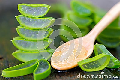 Aloe vera on wooden spoon on wooden table There are many useful herbs Stock Photo