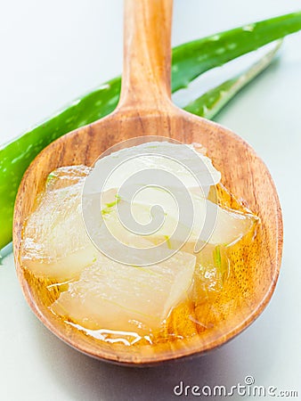 Aloevera Stock Photo