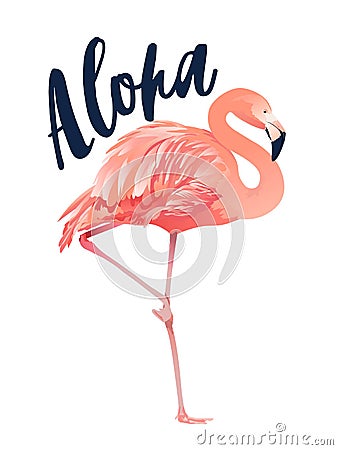 Aloha flamingo illustration. Style Isolated on White Background. Vector Illustration