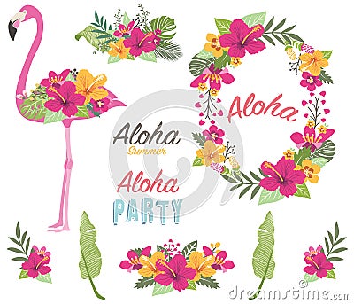 Aloha Flower Flamingo Collections Vector Illustration