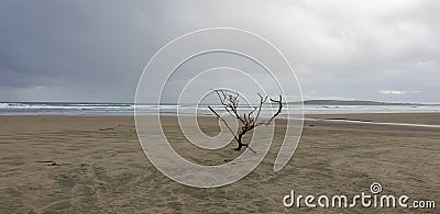 alone beach Stock Photo