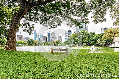 Alone bench or chair at the public park call Lumpini Park in the Thai capital`s city centre Bangkok Thailand. Stock Photo