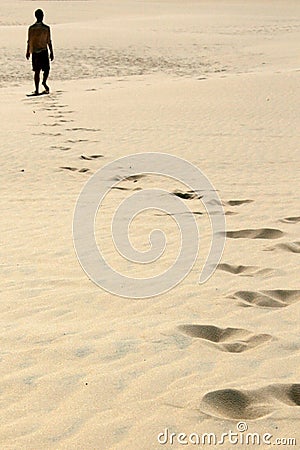 Alone in Desert Stock Photo