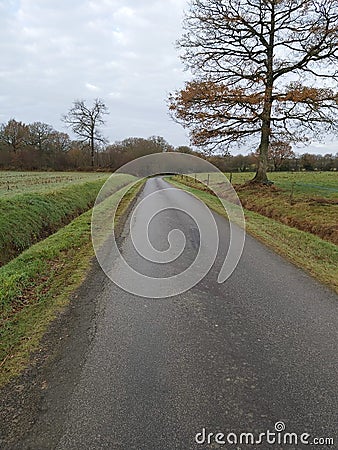 Alone road at evening Stock Photo