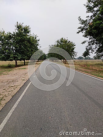 Alone road in nature Stock Photo