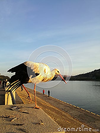 Alone stork stands on pedestal on one leg with its wing down. Remains of small fish are thrown under his feet. Stock Photo