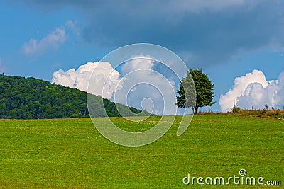 Alone tree on a blue sky with white clouds Stock Photo