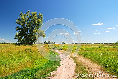 Alone tree and dirt road in field Stock Photo