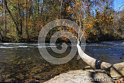Along the Watauga River at Sycamore Shoals State Park, Tennessee, USA Stock Photo