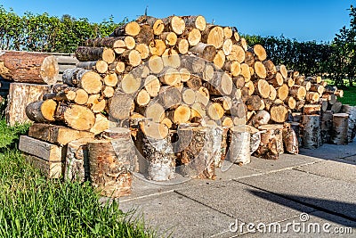 A lot of fresh stacked short birch wood logs on barbeque spot, garden. Birch logs harvested to use for grilling. Summer evening Stock Photo