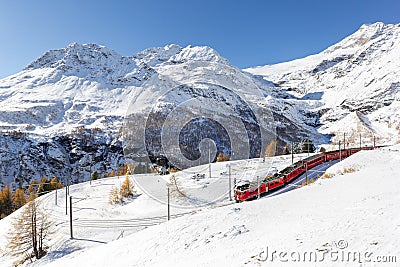 Red train from Rhaetian Railway is passing the train tracks with tight 180Â° curve Editorial Stock Photo