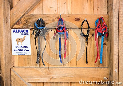 Alpaca Harnesses Hanging in Barn with Sign Stock Photo