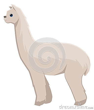 Alpaca icon. Wild llama animal. Zoo fauna Stock Photo