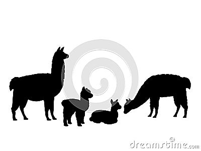 Alpaca Lama family. Silhouettes of animals Vector Illustration