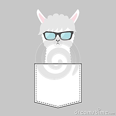 Alpaca llama face head in the pocket. Sun glasses. Cute cartoon animals. Kawaii character. Dash line. White and black color. T- Vector Illustration