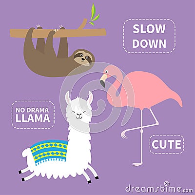 Alpaca, sloth, flamingo set. No drama llama. Slow down. Cute cartoon funny kawaii character. T-shirt, greeting card, poster Vector Illustration