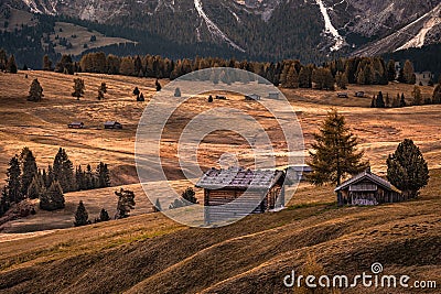 Alpe di Siusi, Italy - Traditional wooden chalets at Seiser Alm, an alpine meadow at autumn morning at the Italian Dolomites Stock Photo