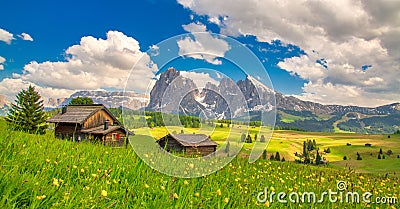 Alpe di Siusi - Seiser Alm with Sassolungo - Langkofel mountain group in background at sunset. Yellow spring flowers and wooden ch Stock Photo