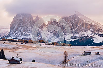 Alpe di Siusi or Seiser Alm with Sassolungo - Langkofel mountain group Stock Photo