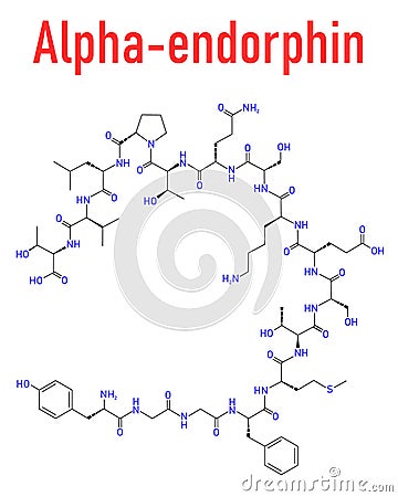 Alpha-endorphin endogenous opioid peptide molecule. Skeletal formula. Cartoon Illustration