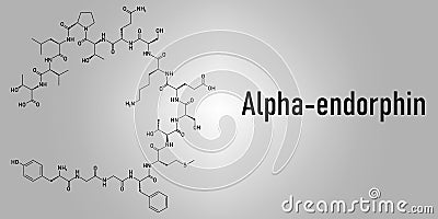 Alpha-endorphin endogenous opioid peptide molecule. Skeletal formula. Vector Illustration