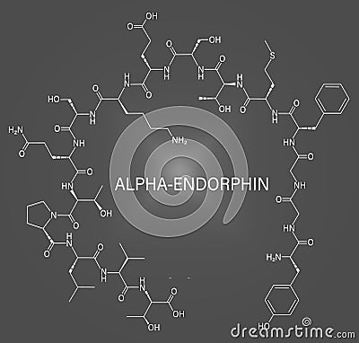 Alpha-endorphin molecule. Skeletal formula. Vector Illustration