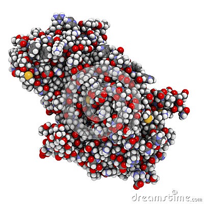 Alpha-galactosidase (Agalsidase) enzyme. Cause of Fabry\'s disease. Administered as enzyme replacement therapy Stock Photo