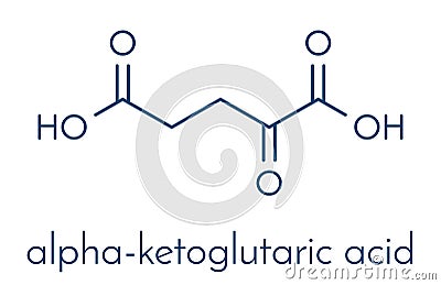 Alpha-ketoglutaric acid ketoglutarate, oxo-glutarate. Intermediate molecule in the Krebs cycle. Found to prolong lifespan in. Vector Illustration