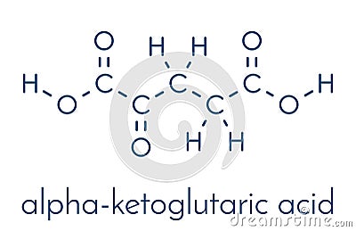 Alpha-ketoglutaric acid ketoglutarate, oxo-glutarate. Intermediate molecule in the Krebs cycle. Found to prolong lifespan in. Vector Illustration