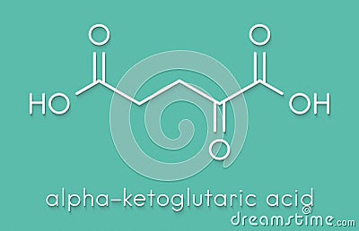 Alpha-ketoglutaric acid ketoglutarate, oxo-glutarate. Intermediate molecule in the Krebs cycle. Found to prolong lifespan in. Stock Photo