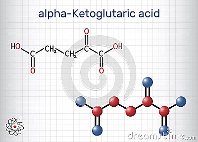 Alpha-ketoglutaric acid, 2-oxoglutaric acid, oxoglutarate, alpha ketoglutarate molecule Vector Illustration