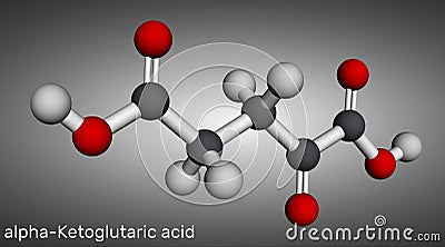 Alpha-ketoglutaric acid, 2-oxoglutaric acid, oxoglutarate, alpha ketoglutarate molecule. It is intermediate metabolite in Krebs Stock Photo