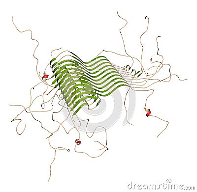 Alpha-synuclein fibril structure, determined by solid-state NMR. Thought to play a role in diseases including Parkinson`s disease Stock Photo