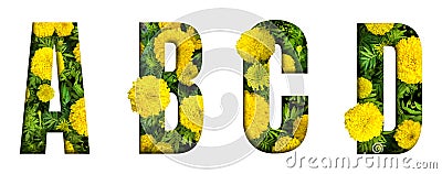 Alphabet A, B, C, D made from marigold flower font isolated on white background. Beautiful character concept Stock Photo