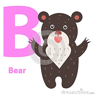 Alphabet for Children B Letter Bear Cartoon Icon Vector Illustration