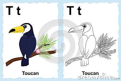 Alphabet coloring book page with outline clip art to color. Letter T. Toucan. Vector animals. Vector Illustration