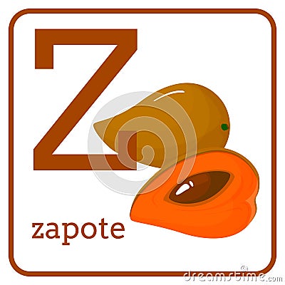 An alphabet with cute fruits, Letter Z zapote Vector Illustration