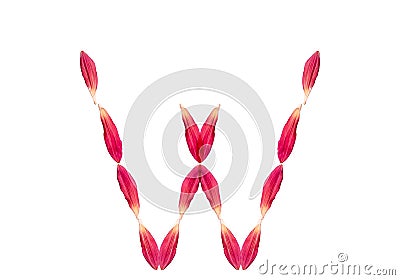 Alphabet from flower petals of a pink color on a white background. Isolated top view, letter w Stock Photo