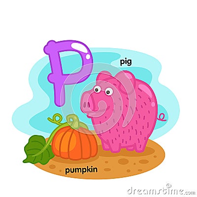 Alphabet Isolated Letter P-pig-pumpkin Vector Illustration