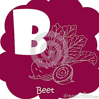 Alphabet for kids with vegetables. Healthy letter abc B-beet. Vector Illustration