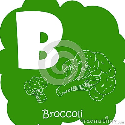 Alphabet for kids with vegetables. Healthy letter abc B-Broccoli Vector Illustration