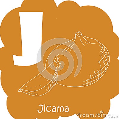 Alphabet for kids with vegetables. Healthy letter abc J-Jicama. Vector Illustration