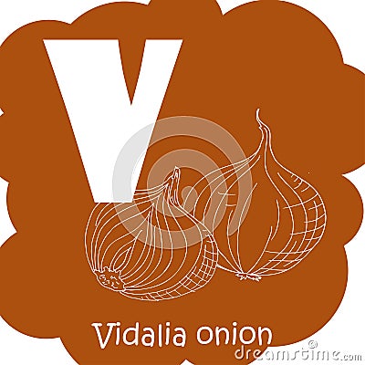 Alphabet for kids with vegetables. Healthy letter abc V-Vidalia onion Vector Illustration