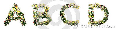 Alphabet letter A B C D made from colorful flowers isolated on w Stock Photo