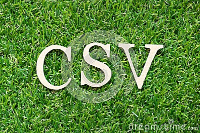 Alphabet in word CSV Abbbreviation of Computer system validation or Comma-separated values on green grass background Stock Photo