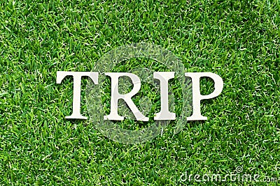 Alphabet in word trip on green grass background Stock Photo