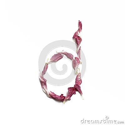 Alphabet made of peony petals. Letter d, layout for design Stock Photo