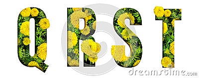 Alphabet Q, R, S, T made from marigold flower font isolated on white background. Beautiful character concept Stock Photo