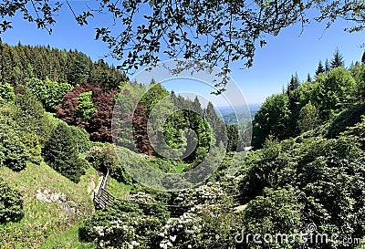 Alpine garden park in the Italian Alps. Valdilana. Stock Photo